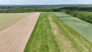 Działka budowlana wśród pól i lasów w Czarnkowie, 5 km od Tychowa, zdjęcie 13