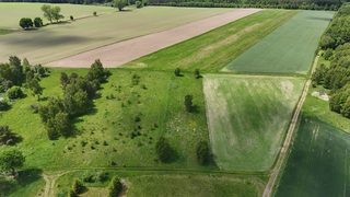 Działka budowlana wśród pól i lasów w Czarnkowie, 5 km od Tychowa, zdjęcie 15