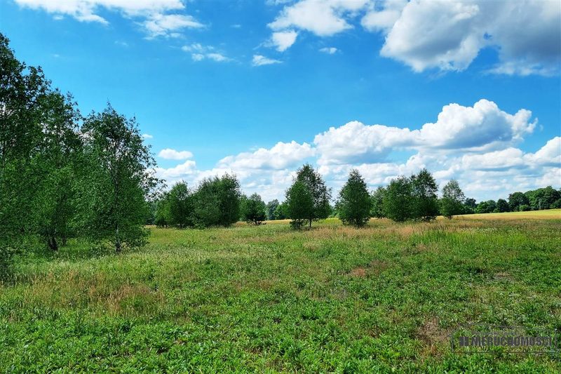 Działka na sprzedaż 2 936 m²: Cztery działki budowlane wśród pól w Kowalkach, 9 km od Tychowa