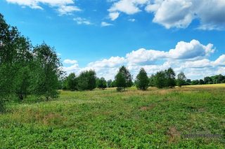 Cztery działki budowlane wśród pól w Kowalkach, 9 km od Tychowa zdjęcie 13