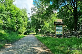 Cztery działki budowlane wśród pól w Kowalkach, 9 km od Tychowa zdjęcie 3