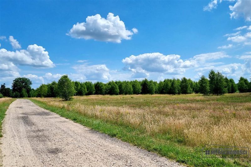 Działka na sprzedaż 2 936 m²: Cztery działki budowlane wśród pól w Kowalkach, 9 km od Tychowa