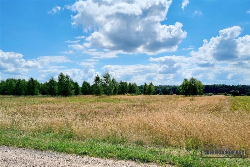 Działka na sprzedaż 2 936 m²: Cztery działki budowlane wśród pól w Kowalkach, 9 km od Tychowa