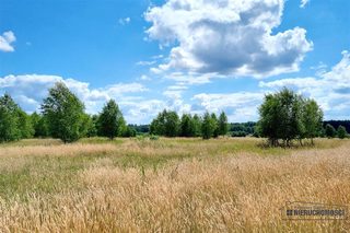Cztery działki budowlane wśród pól w Kowalkach, 9 km od Tychowa zdjęcie 6