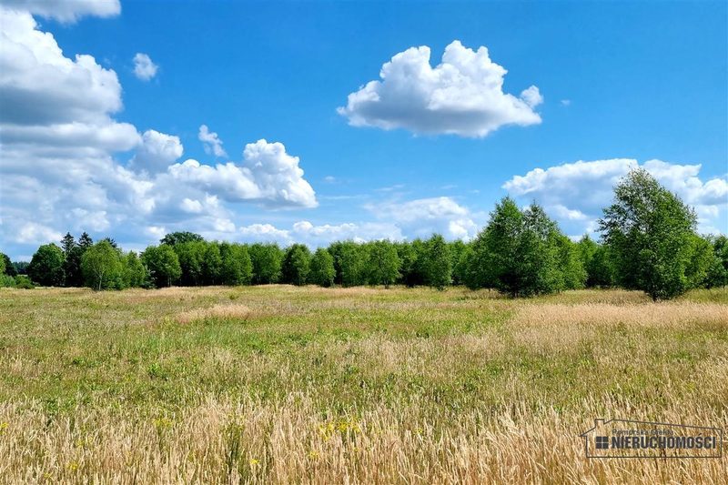 Działka na sprzedaż 2 936 m²: Cztery działki budowlane wśród pól w Kowalkach, 9 km od Tychowa