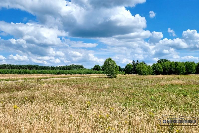 Działka na sprzedaż 2 936 m²: Cztery działki budowlane wśród pól w Kowalkach, 9 km od Tychowa