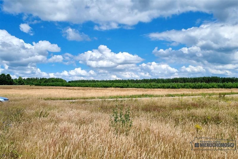 Działka na sprzedaż 2 936 m²: Cztery działki budowlane wśród pól w Kowalkach, 9 km od Tychowa