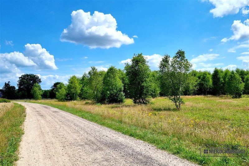 Działka na sprzedaż 2 936 m²: Cztery działki budowlane wśród pól w Kowalkach, 9 km od Tychowa