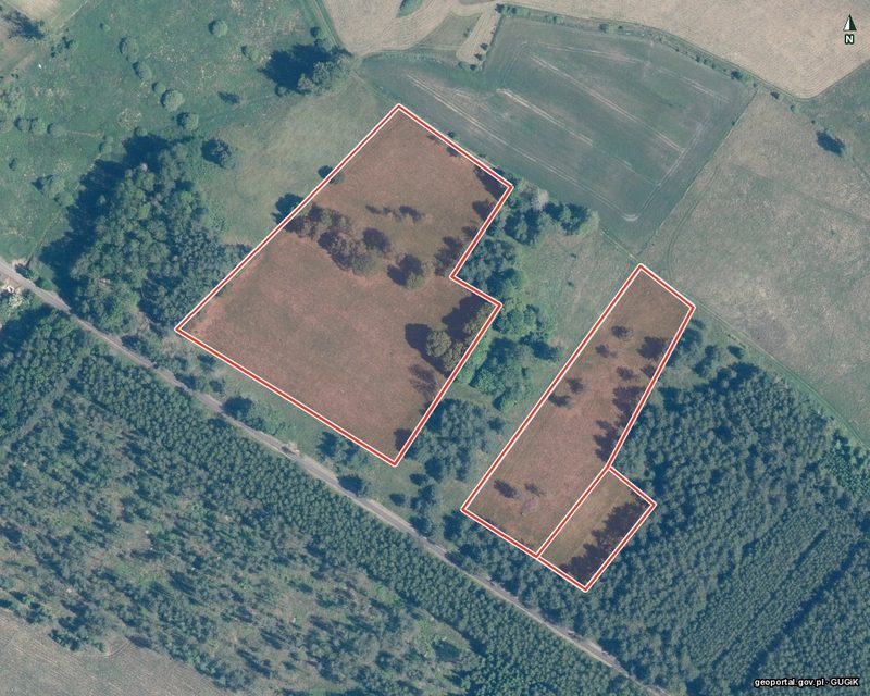 Działka na sprzedaż 1 963 m²: Działki budowlane na sprzedaż w Świerczynie