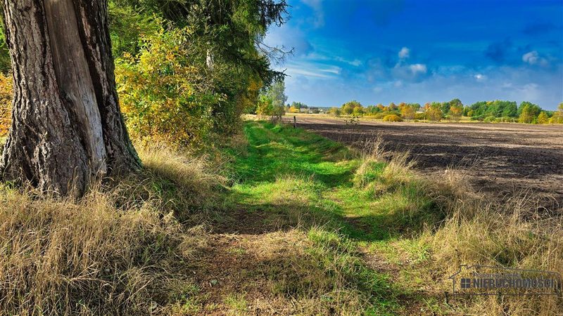 Działka na sprzedaż 1 963 m²: Działki budowlane na sprzedaż w Świerczynie