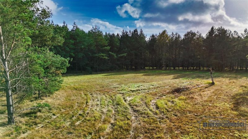 Działka na sprzedaż 1 963 m²: Działki budowlane na sprzedaż w Świerczynie