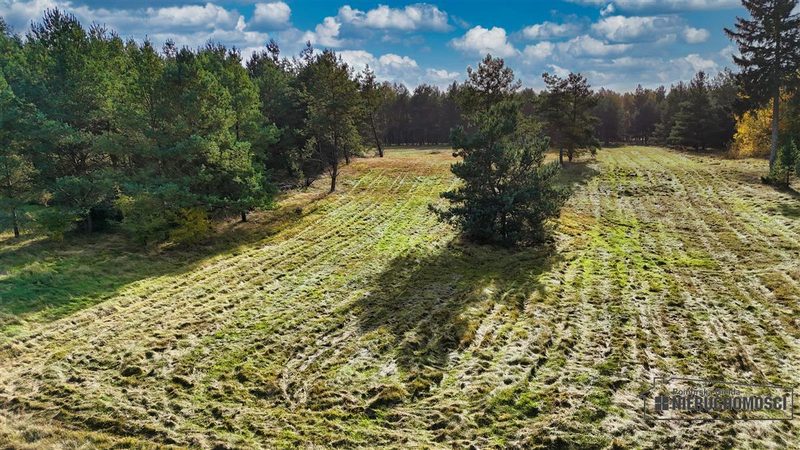 Działka na sprzedaż 1 963 m²: Działki budowlane na sprzedaż w Świerczynie
