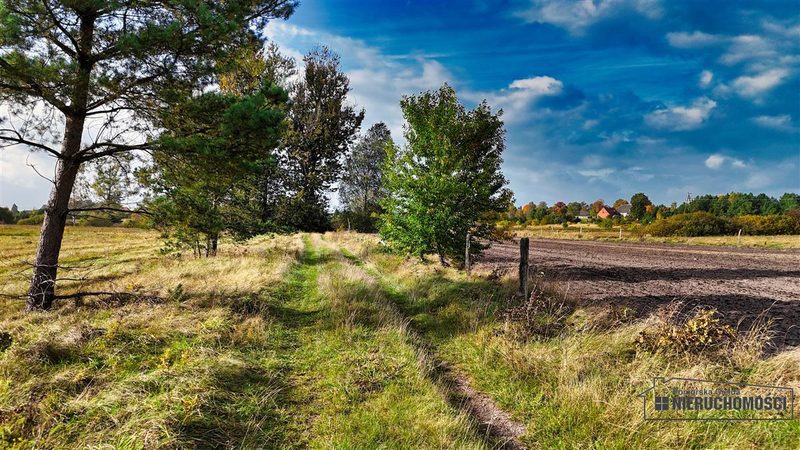 Działka na sprzedaż 1 963 m²: Działki budowlane na sprzedaż w Świerczynie