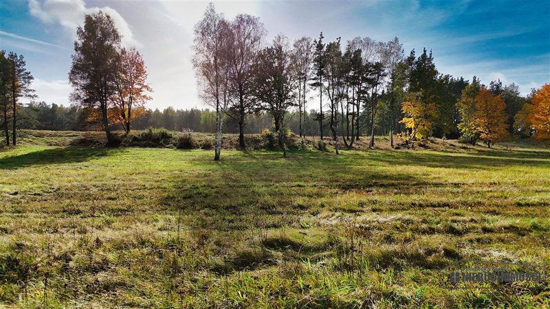 Działka na sprzedaż 1 963 m²: Działki budowlane na sprzedaż w Świerczynie