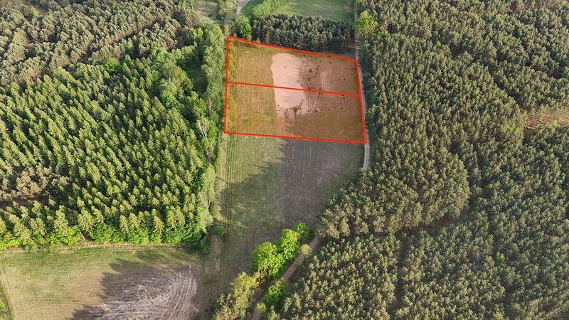 Działka na sprzedaż 10 000 m²: Działki budowlane na sprzedaż w Przychodzku, 7 km od Zbąszynia