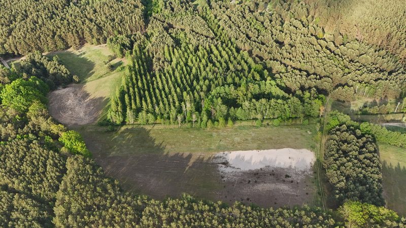 Działka na sprzedaż 10 000 m²: Działki budowlane na sprzedaż w Przychodzku, 7 km od Zbąszynia