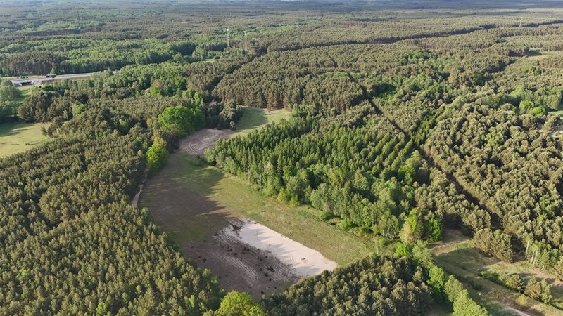 Działka na sprzedaż 10 000 m²: Działki budowlane na sprzedaż w Przychodzku, 7 km od Zbąszynia