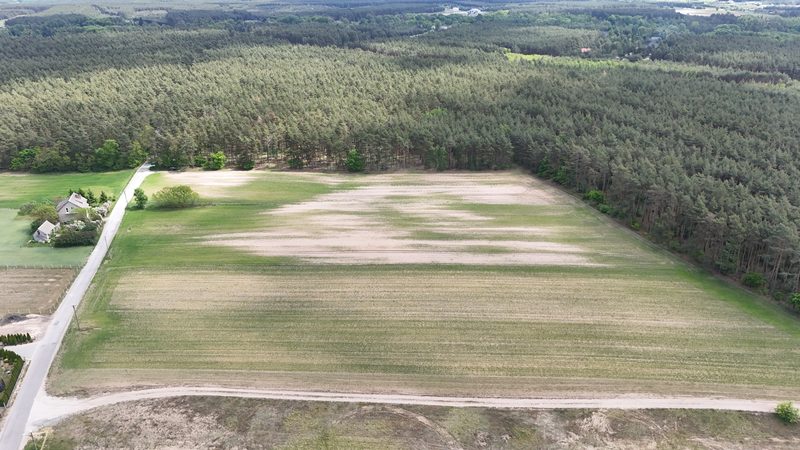 Działka na sprzedaż 11 539 m²: Działka budowlana na sprzedaż w Kijowskich Nowinach