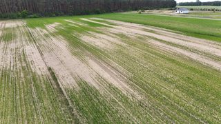 Działka budowlana na sprzedaż w Kijowskich Nowinach zdjęcie 8
