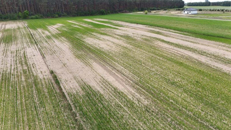 Działka na sprzedaż 11 539 m²: Działka budowlana na sprzedaż w Kijowskich Nowinach