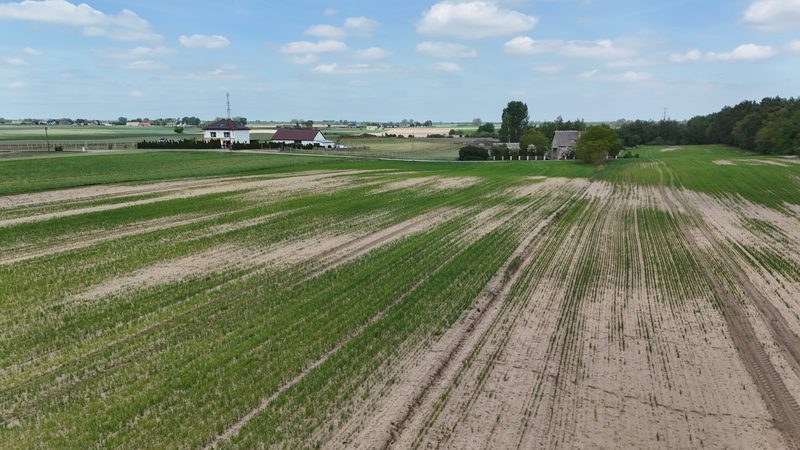 Działka na sprzedaż 11 539 m²: Działka budowlana na sprzedaż w Kijowskich Nowinach