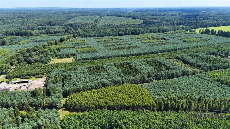 Działka na sprzedaż 1 025 m²: Trzy działki budowlane przy asfalcie w Ząbrowie, 18 km od Świdwina